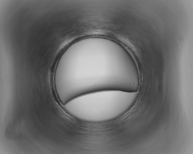 X0000111951404200907271025