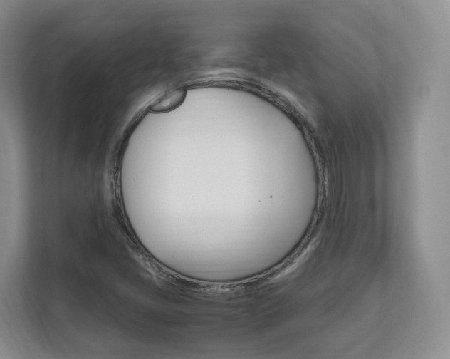 X0000111951405200907271025