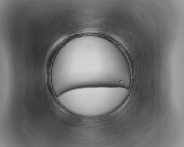 X0000111951406200907271025