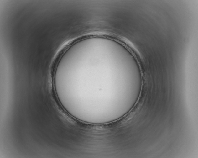 X0000111951408200907271025