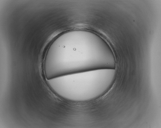 X0000111951410200907271025