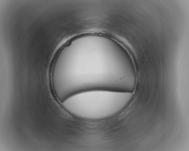 X0000111951412200907271025