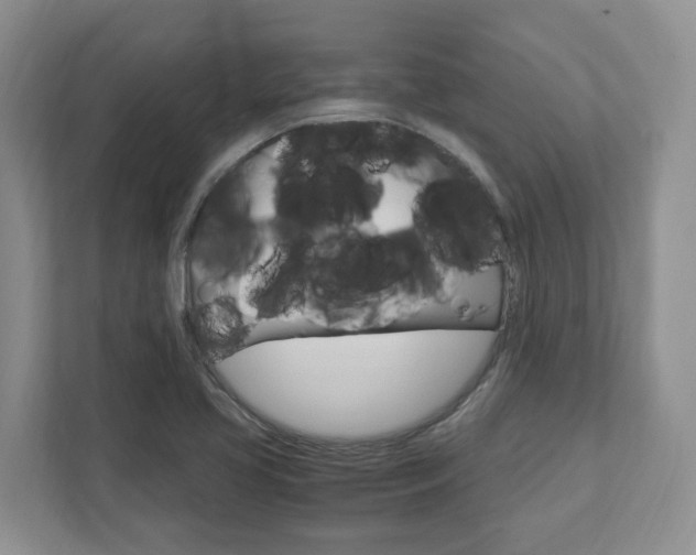 X0000111951413200907271025