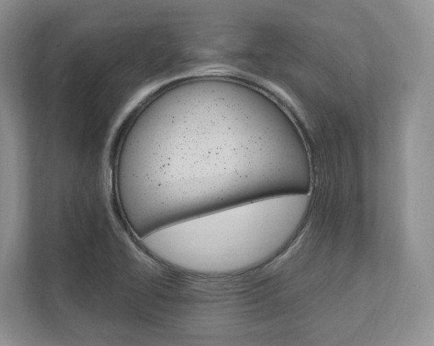 X0000111951414200907271025