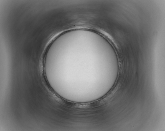 X0000111951415200907271025