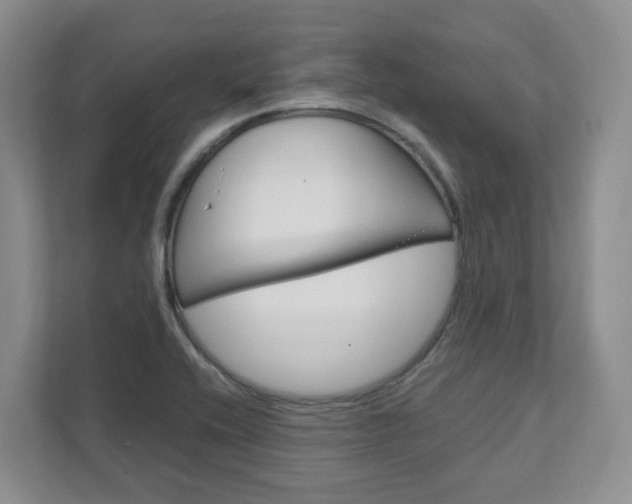 X0000111951416200907271025