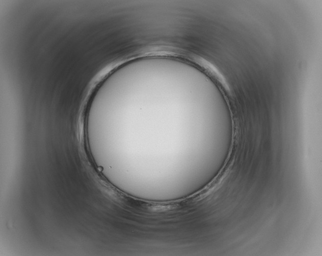 X0000111951419200907271025