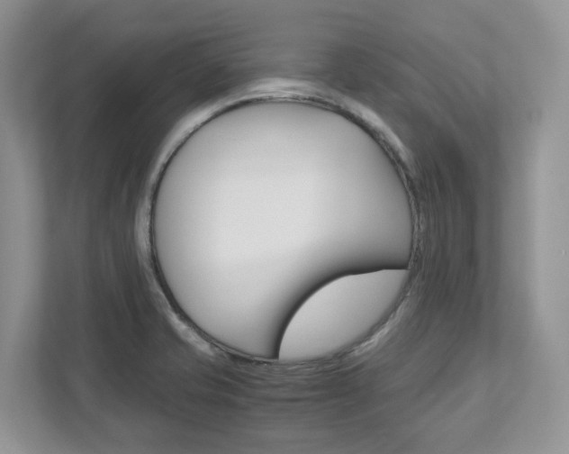 X0000111951421200907271025