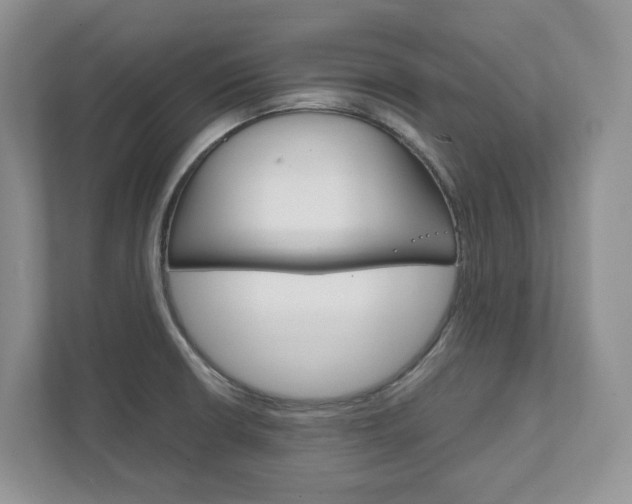X0000111951426200907271025