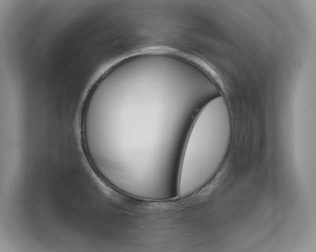 X0000111951430200907271025