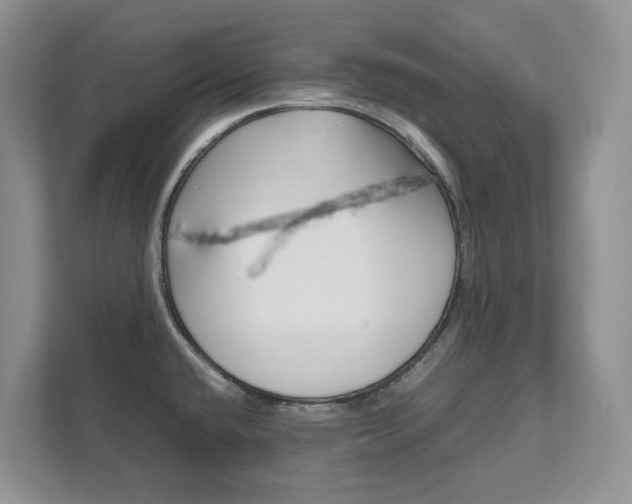 X0000111951432200907271025
