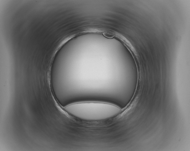 X0000111951433200907271025