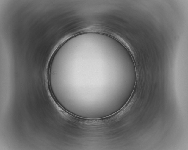 X0000111951434200907271025