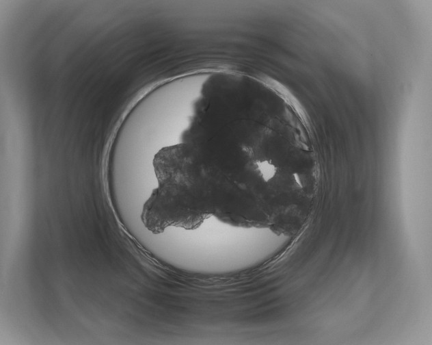 X0000111951435200907271025