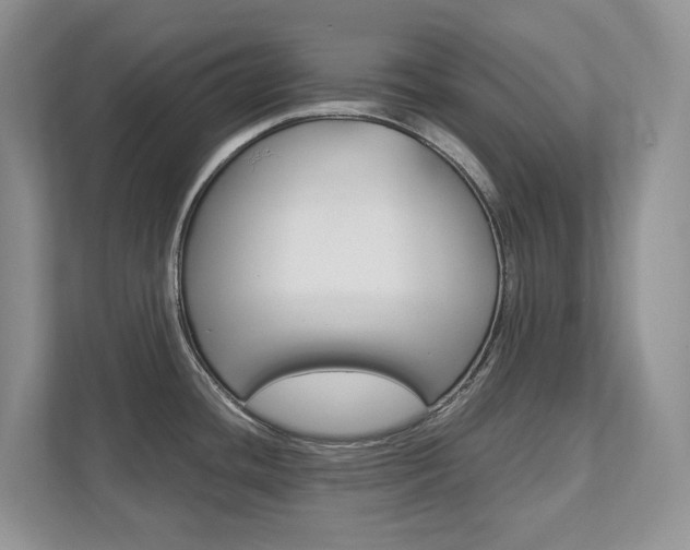 X0000111951436200907271025