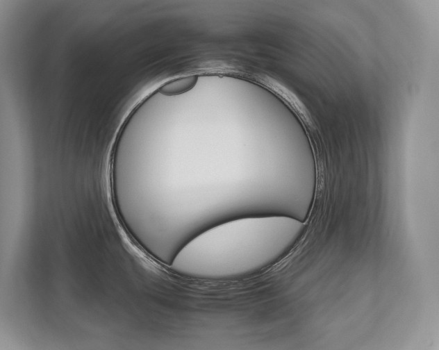 X0000111951439200907271025