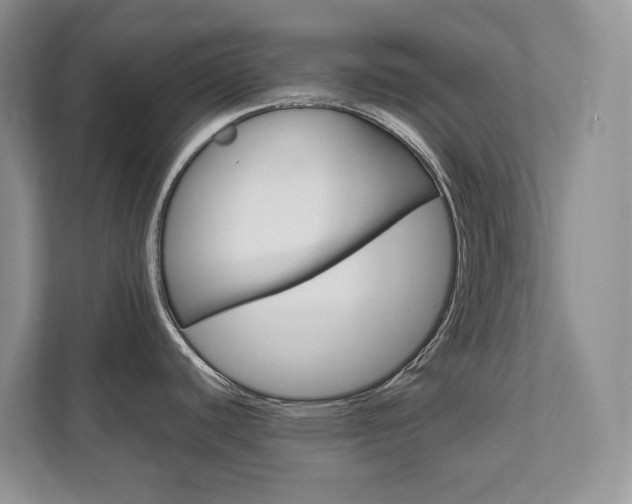 X0000111951440200907271025