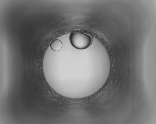 X0000111951445200907271025