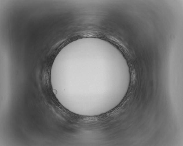 X0000111951446200907271025