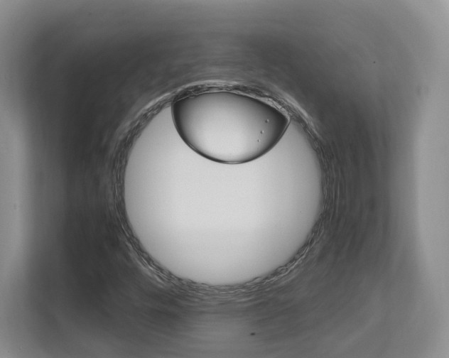 X0000111951448200907271025