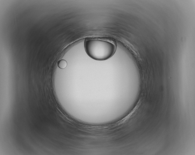 X0000111951449200907271025