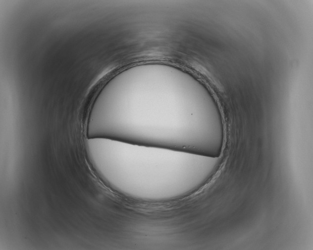 X0000111951450200907271025