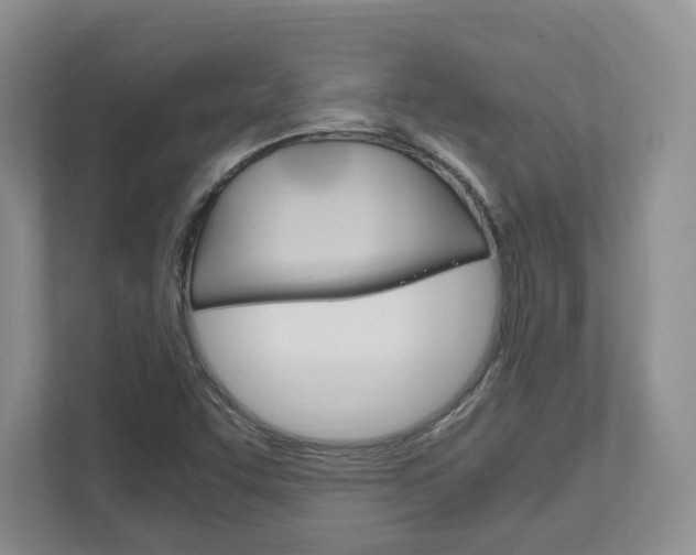 X0000111951455200907271025