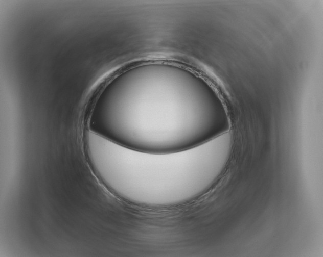 X0000111951456200907271025