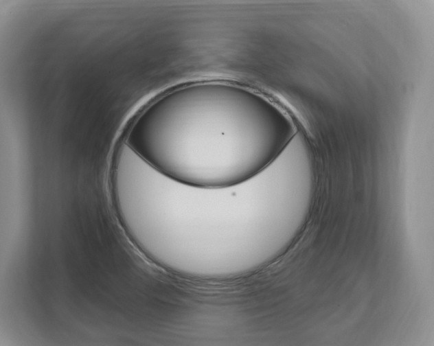 X0000111951460200907271024