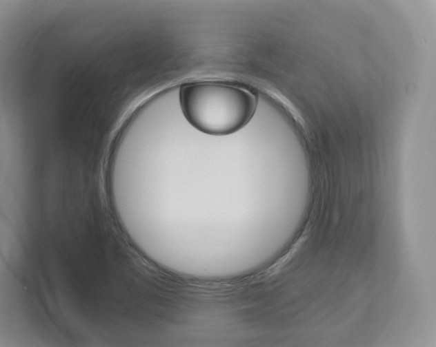X0000111951461200907271024