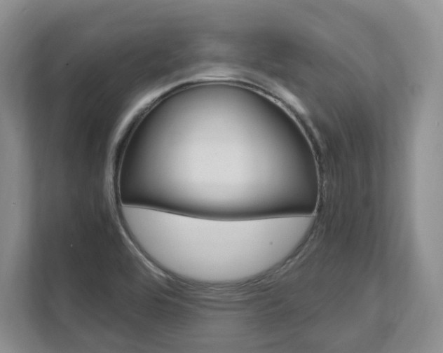 X0000111951464200907271024