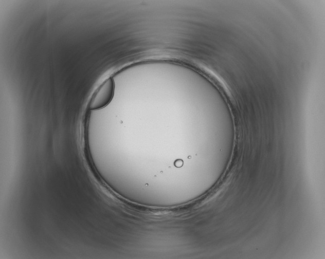 X0000111951467200907271024