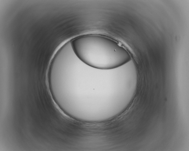 X0000111951468200907271024