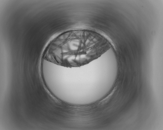 X0000111951469200907271024