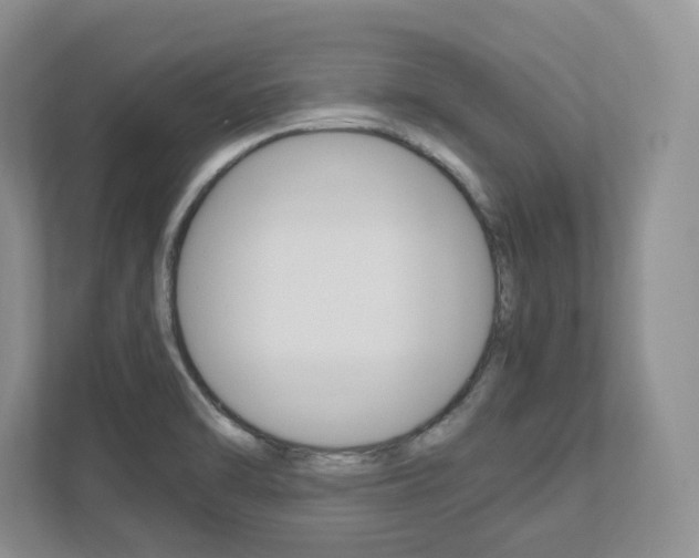 X0000111951470200907271024