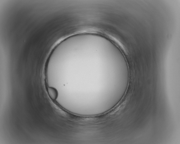 X0000111951471200907271024