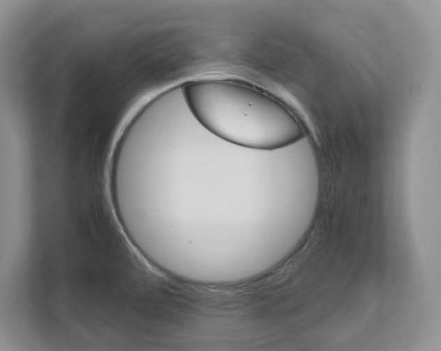X0000111951472200907271024