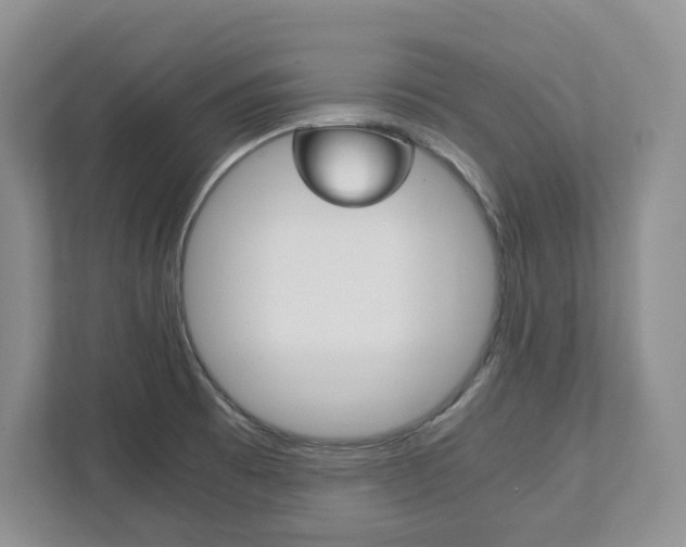 X0000111951473200907271024