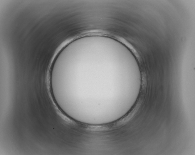 X0000111951474200907271024
