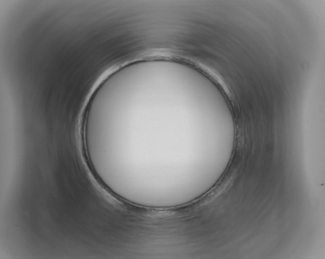 X0000111951475200907271024