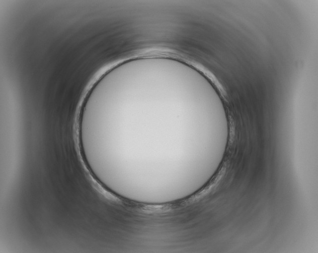 X0000111951478200907271024