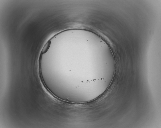 X0000111951479200907271024