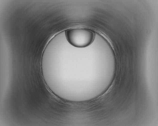 X0000111951481200907271024