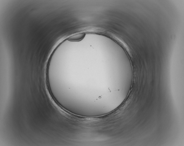 X0000111951483200907271024