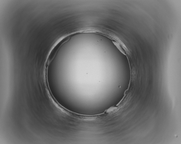 X0000111951484200907271024