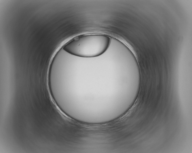 X0000111951485200907271024