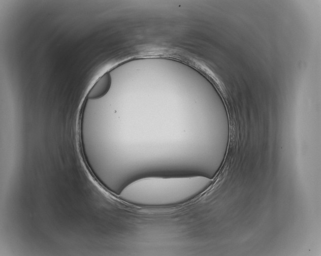 X0000111951487200907271024