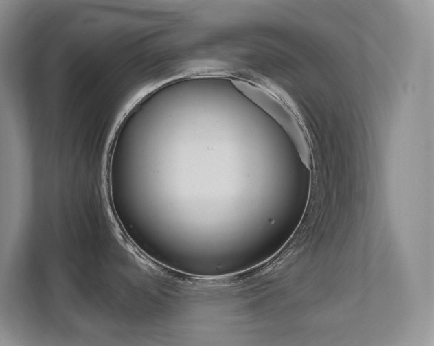 X0000111951488200907271024