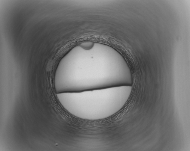 X0000111951489200907271024