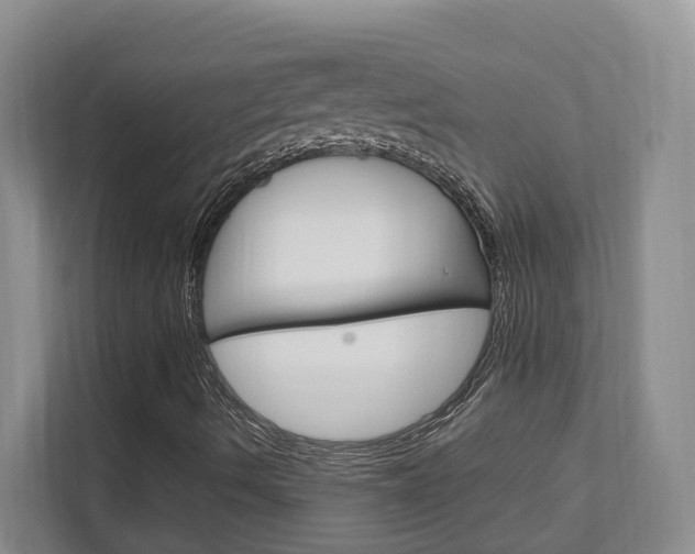 X0000111951490200907271024
